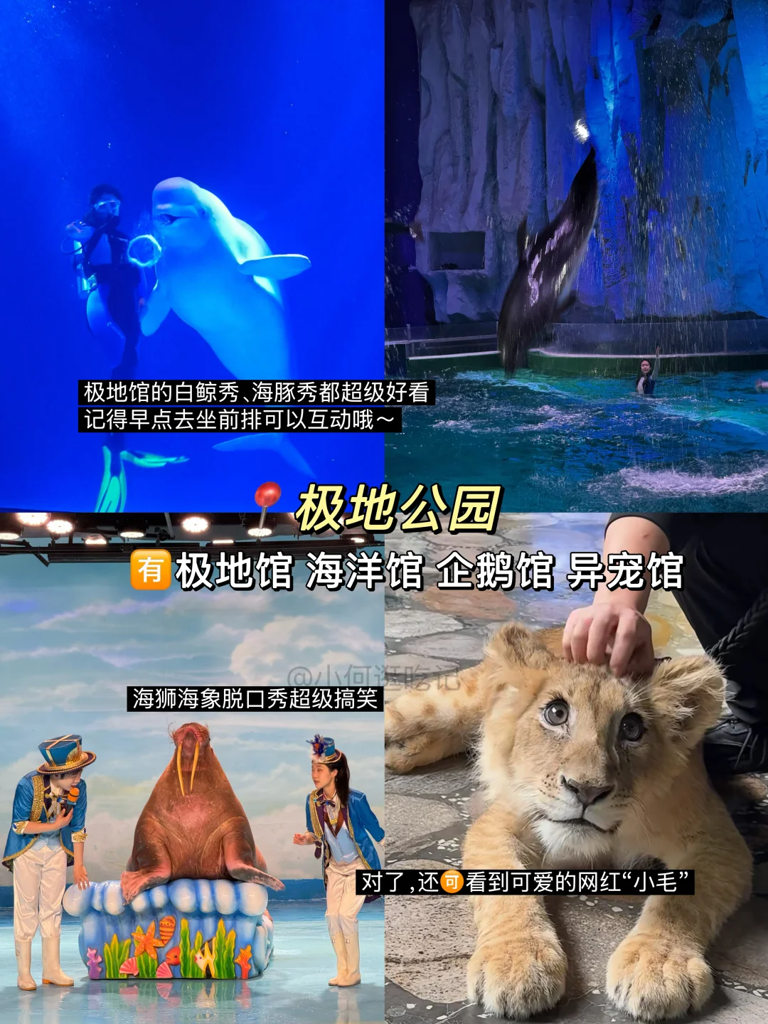 哈尔滨冬季玩疯了！9个景点0踩雷！！！