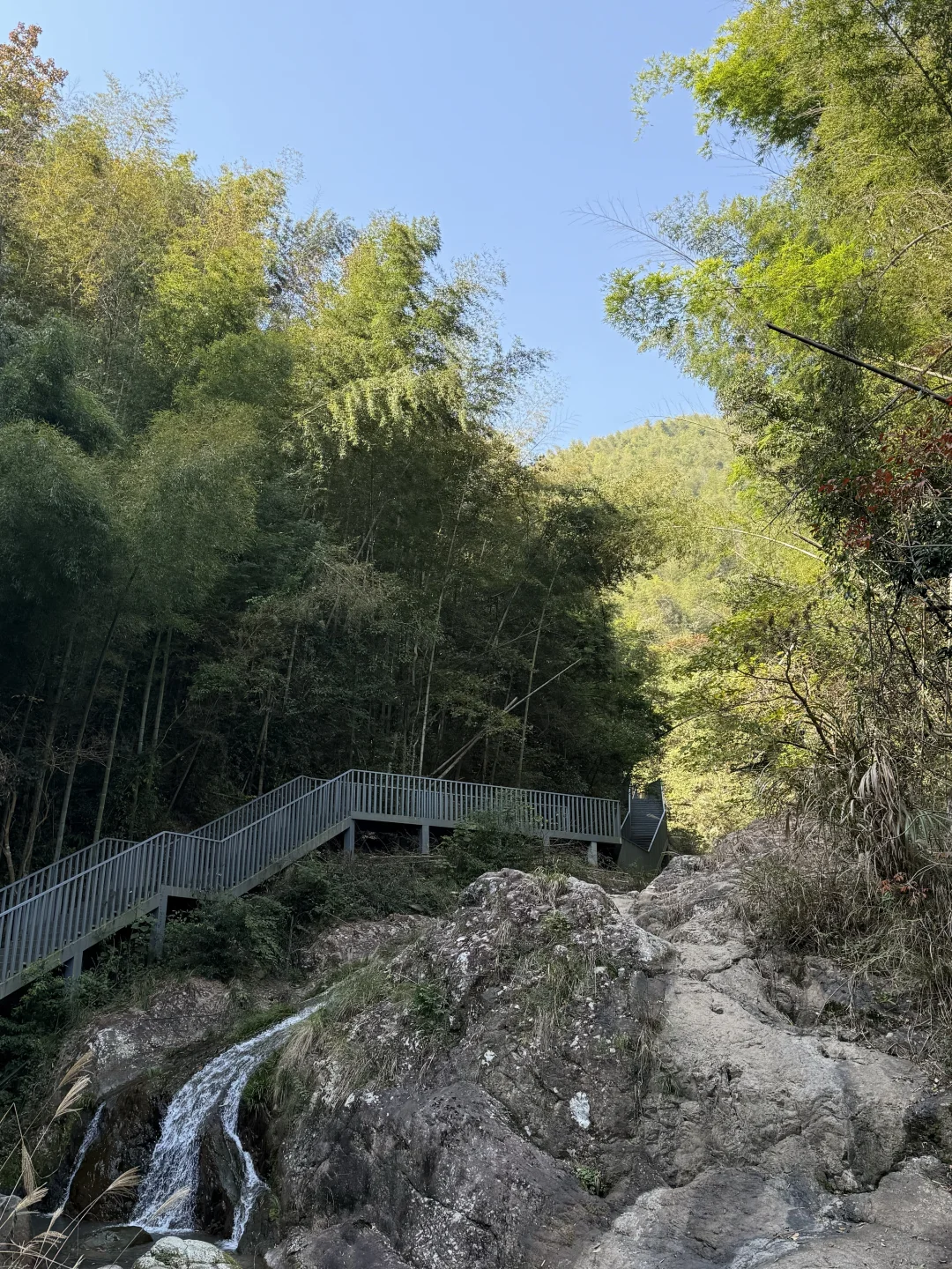 风声，鸟叫声和流水声，倾听大自然的声音