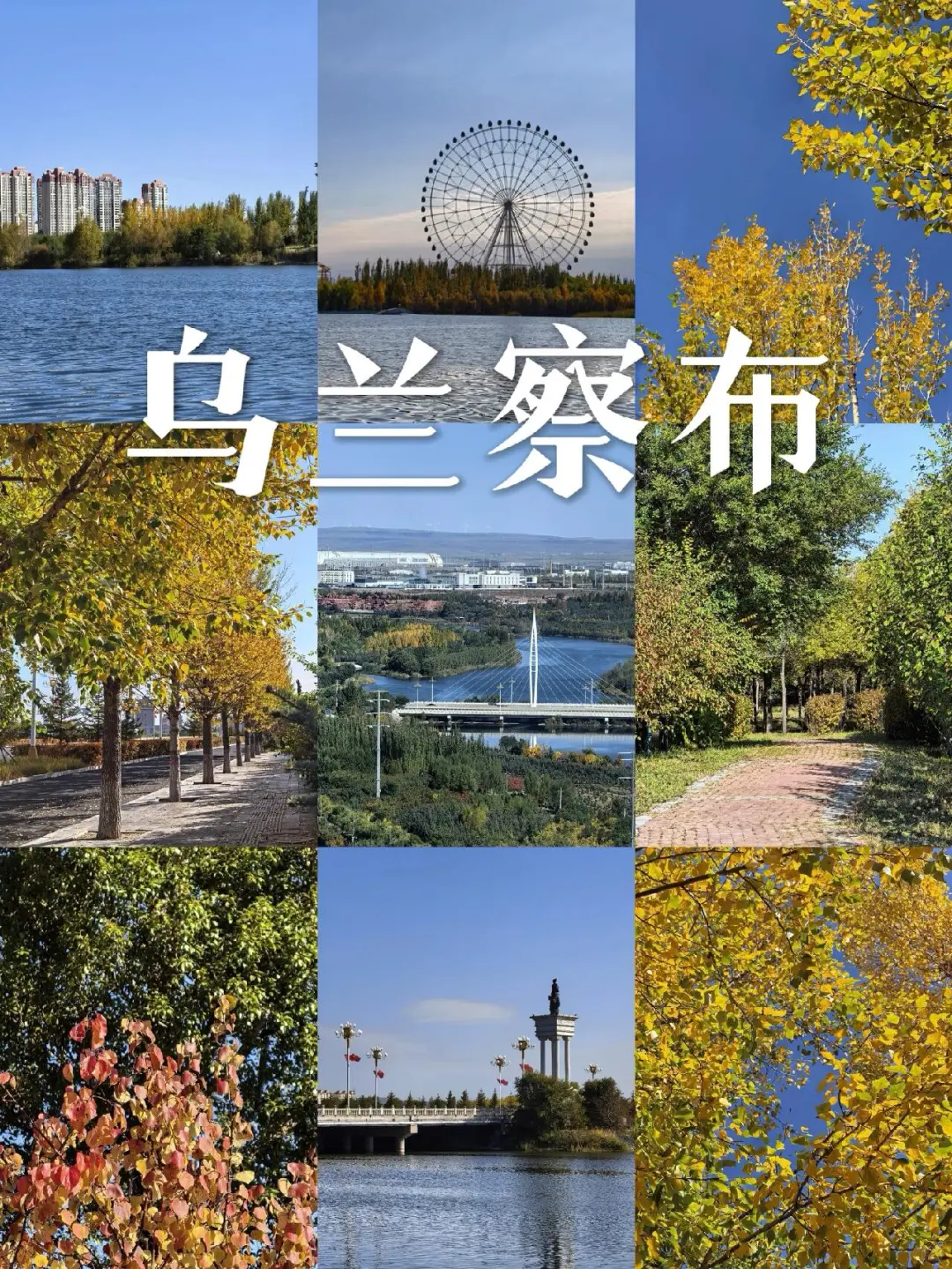 乌兰察布📍这个金色小城美到失语🍂