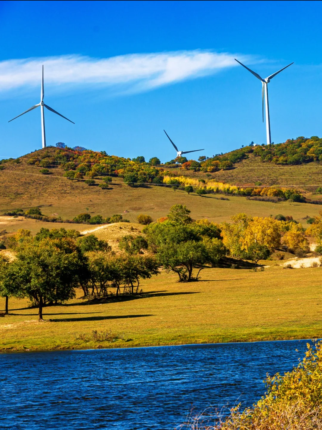 河北承德围场县塞罕坝·御道河谷·御桦十景