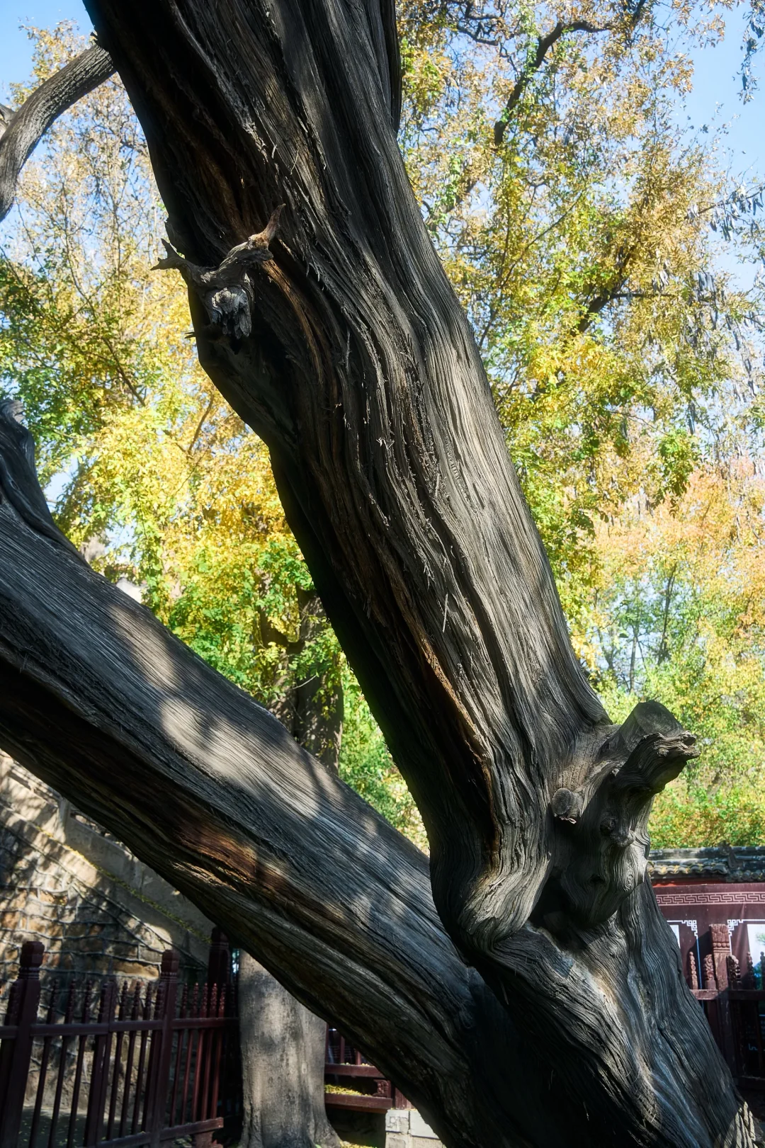 千年晋祠，一眼千年｜太原