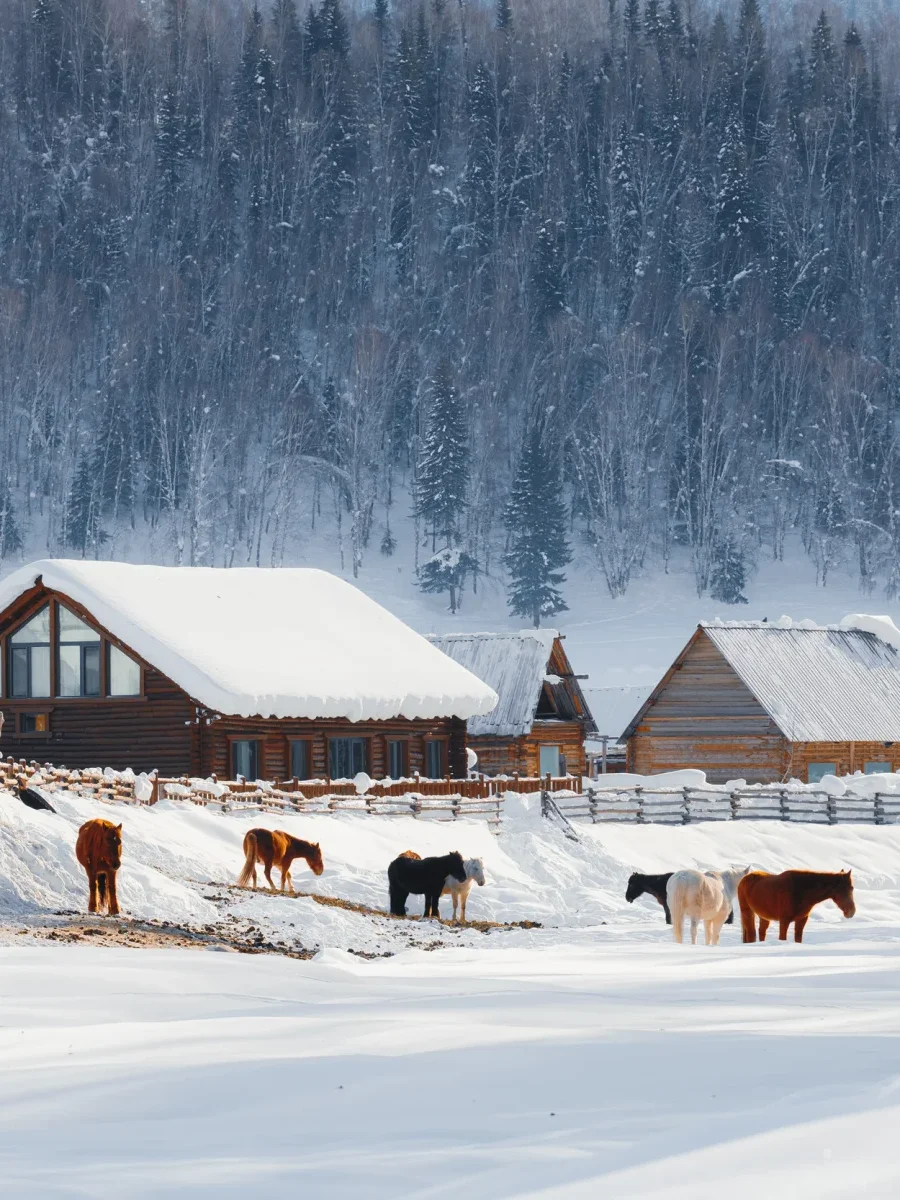 多年以后，我终于来到地理课本封面的新疆～