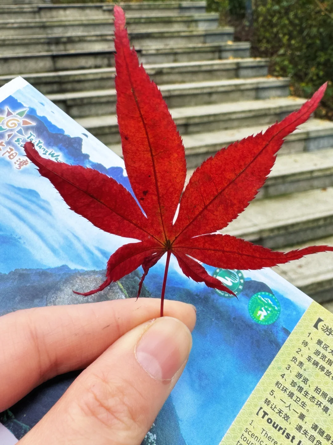 太阳湾景区避雷避雷