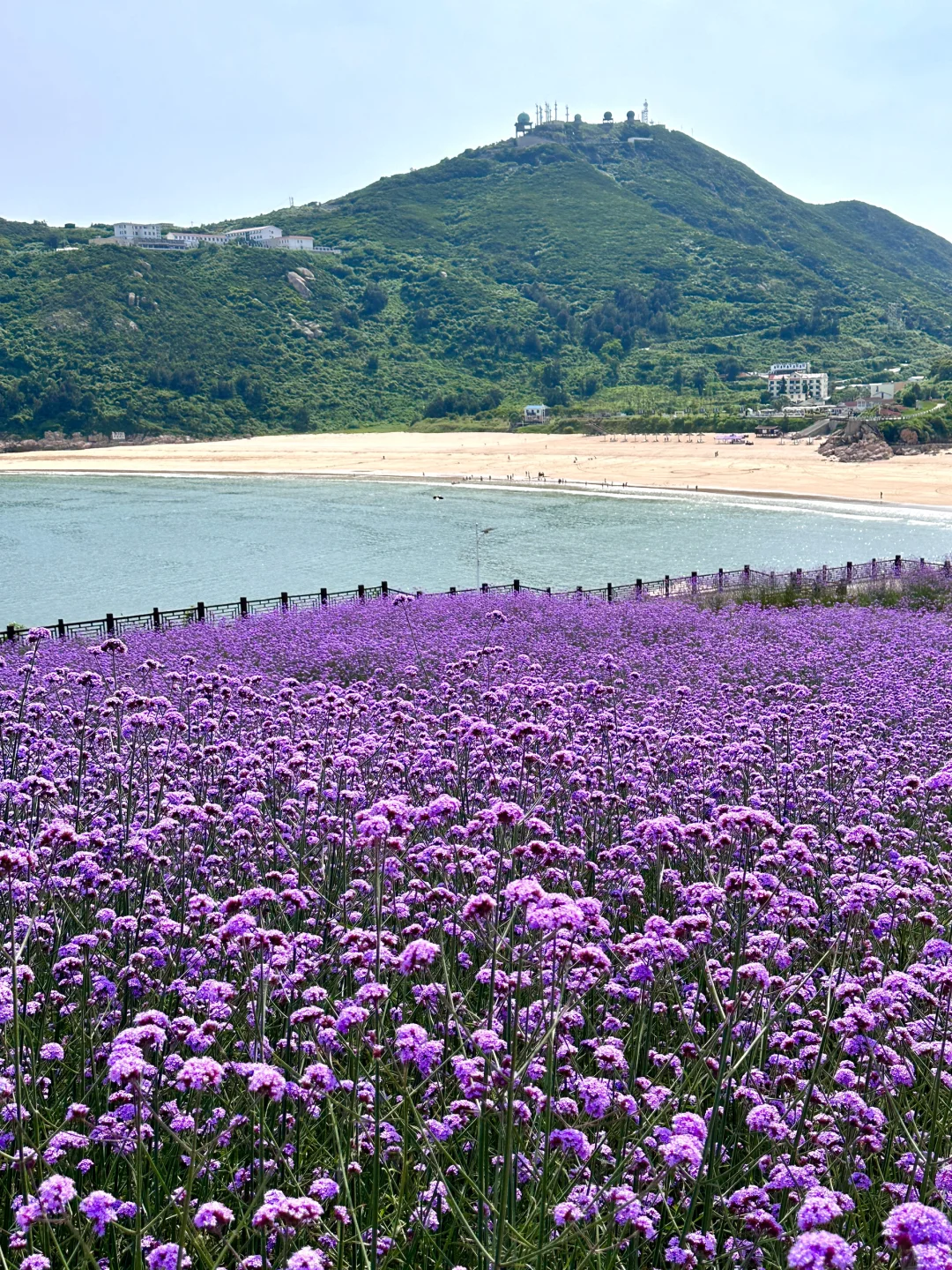 不在新西兰！在浙江！小众海岛美到next level