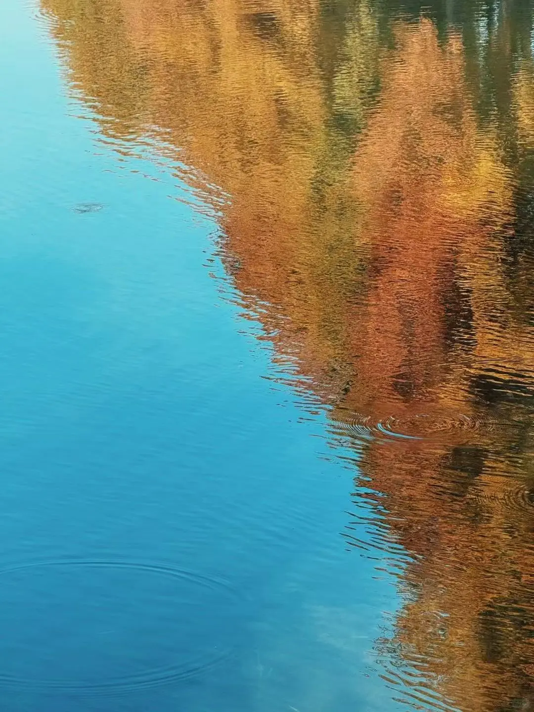 秋游来听涛景区就够啦