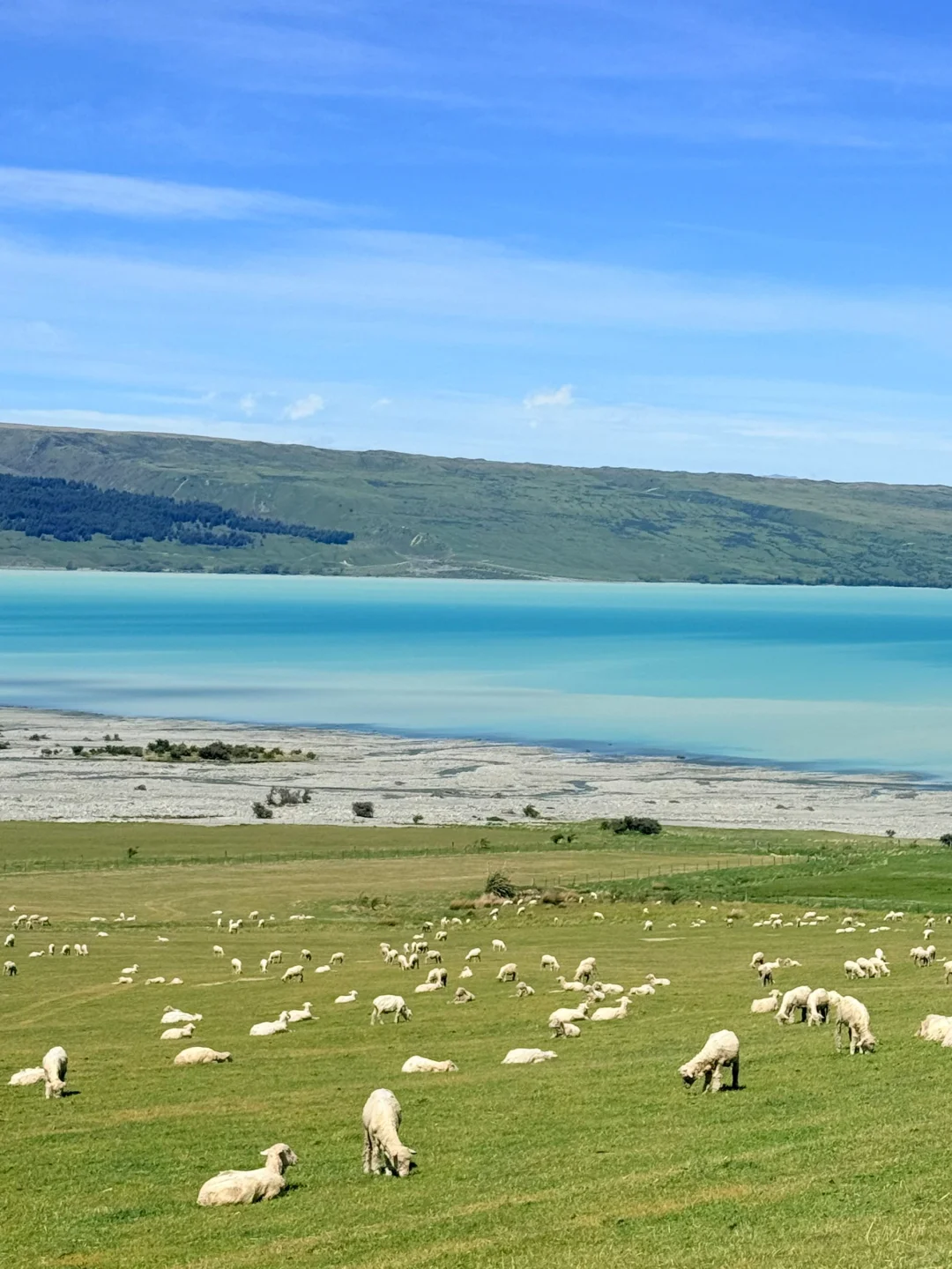 国人对新西兰的开发只有1%🇳🇿附攻略