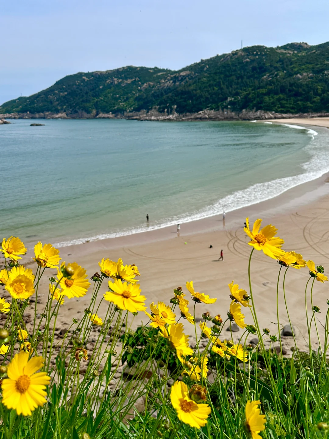 不在新西兰！在浙江！小众海岛美到next level