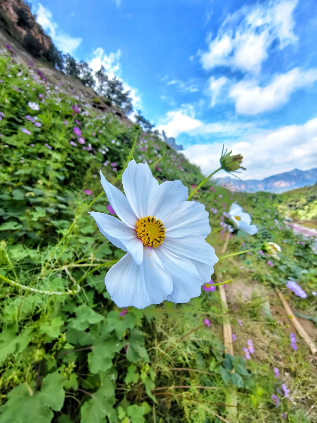 邯郸游玩:武当大道真的越来越好了
