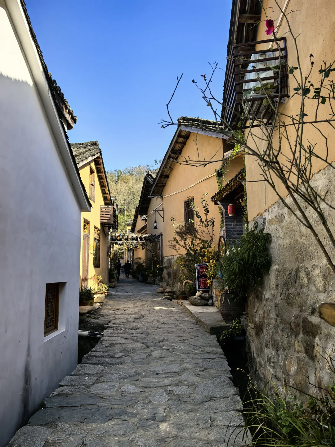 武汉周边古村落溪流观光2日游(两小时到达)夏