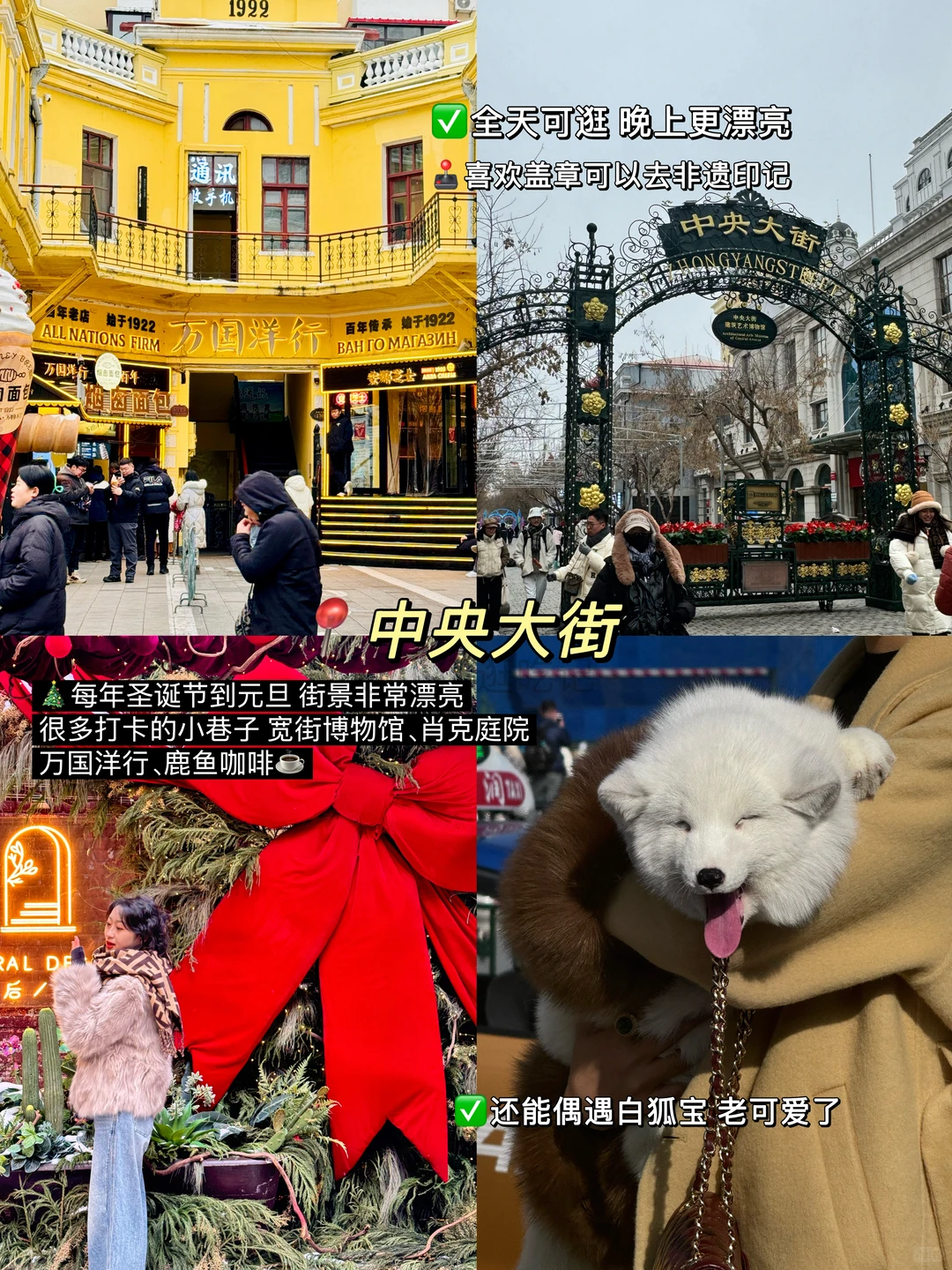 哈尔滨冬季玩疯了！9个景点0踩雷！！！