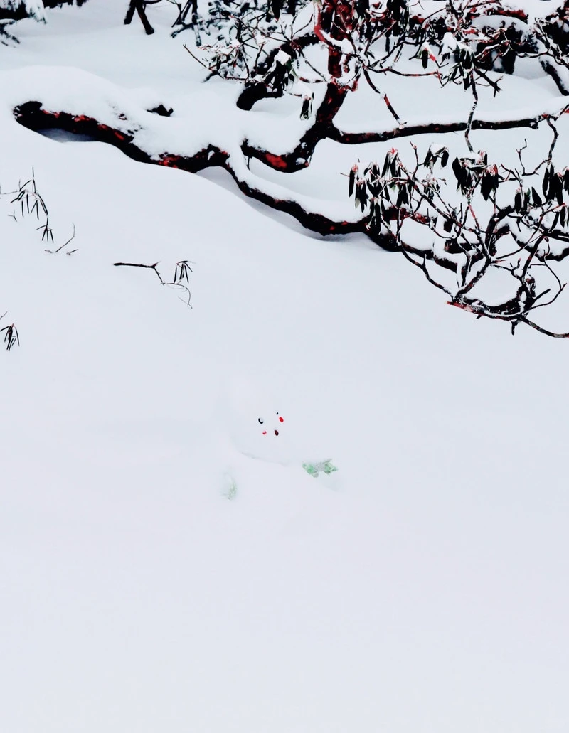 这是圣莫里茨?NO!这是祖国的昆明❄️!