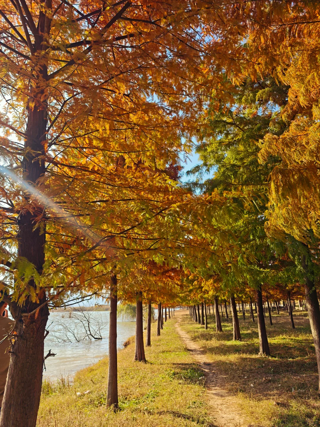 蚌埠适合周末出游