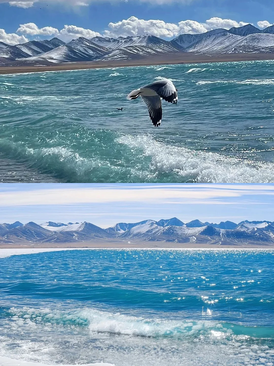 初到西藏怎么玩❓6天5晚超绝体验行程请收好