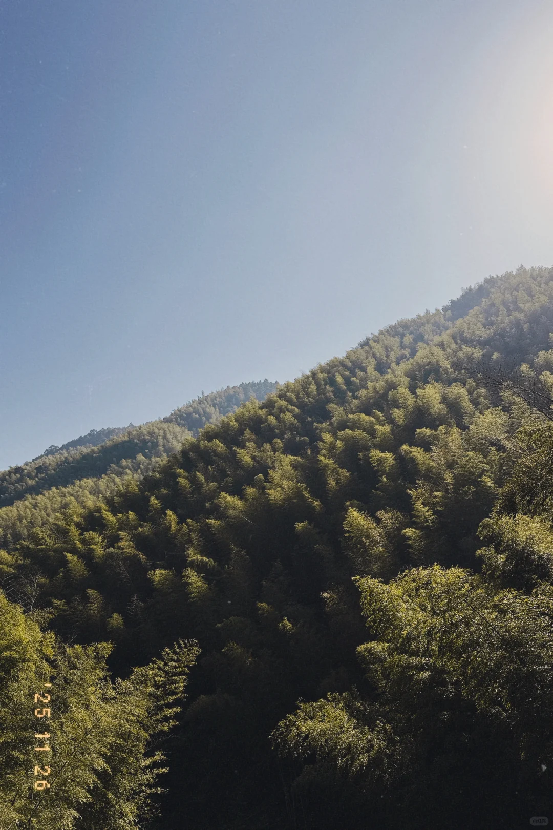 风声，鸟叫声和流水声，倾听大自然的声音
