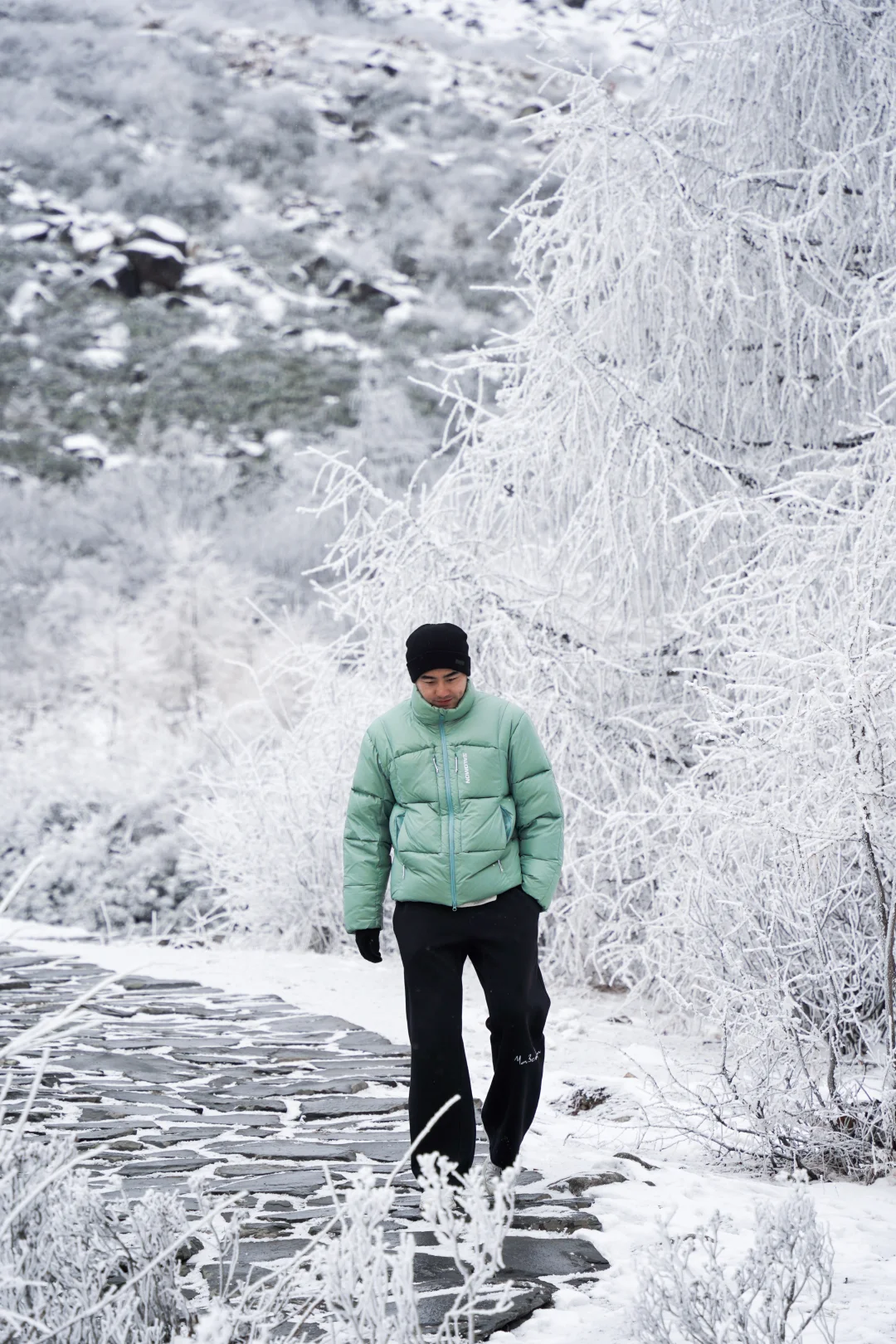 早晨的毕棚沟｜在燕子岩误入魔戒世界