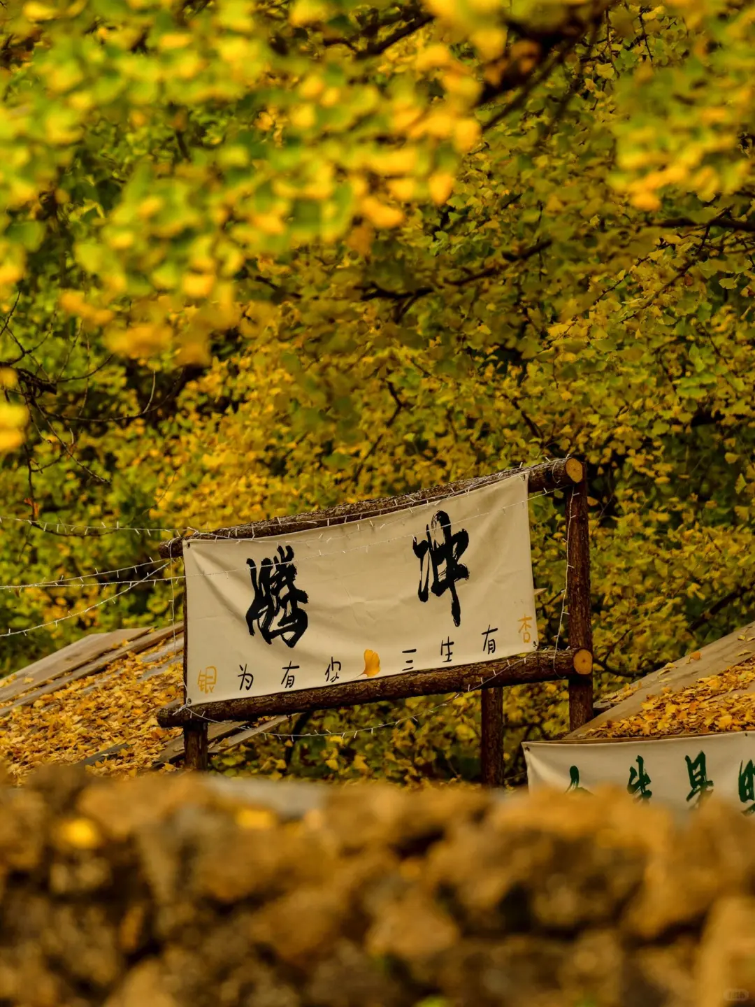 10.19📍腾冲已回✅10~12月去✨这么玩敲爽