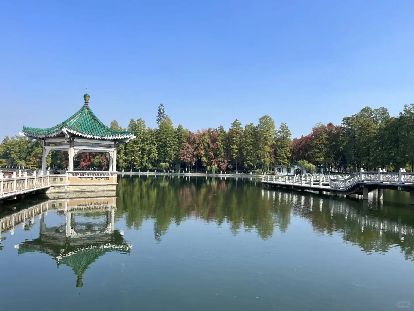 秋游来听涛景区就够啦