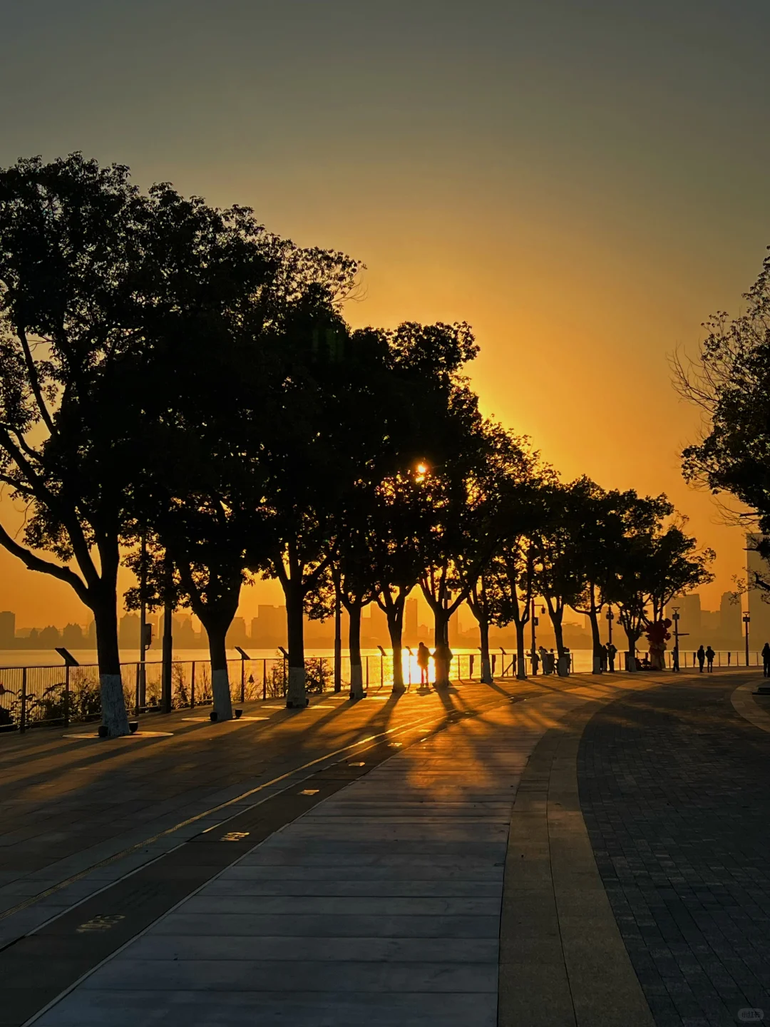 #11月26日的金鸡湖黄昏