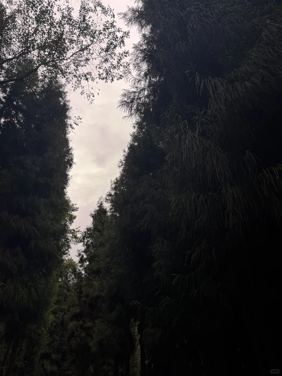 太阳湾景区避雷避雷