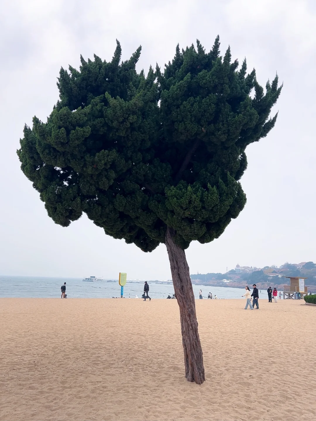 看了50+攻略！总结出的青岛4天3晚旅游计划