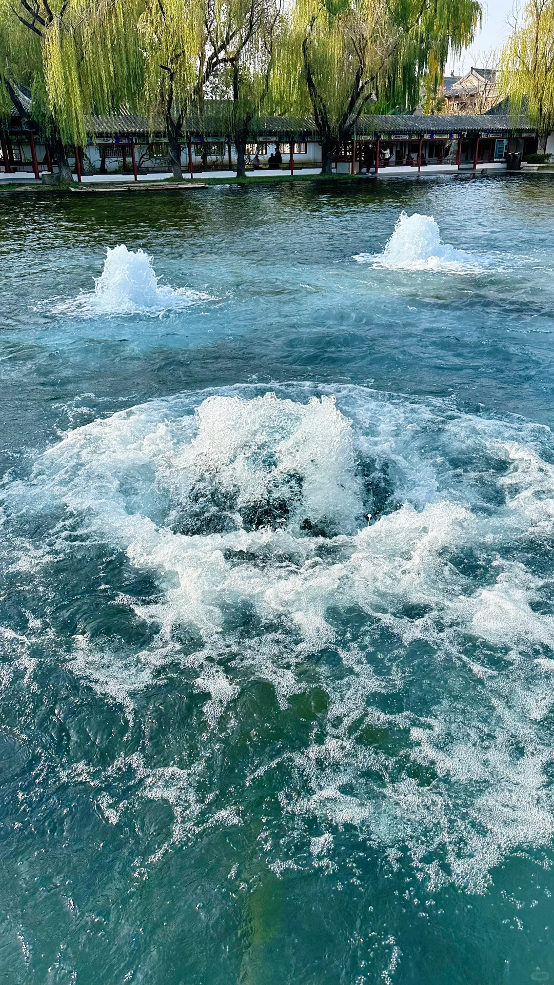 Live图的意义，济南泉水太有生命力了‼️