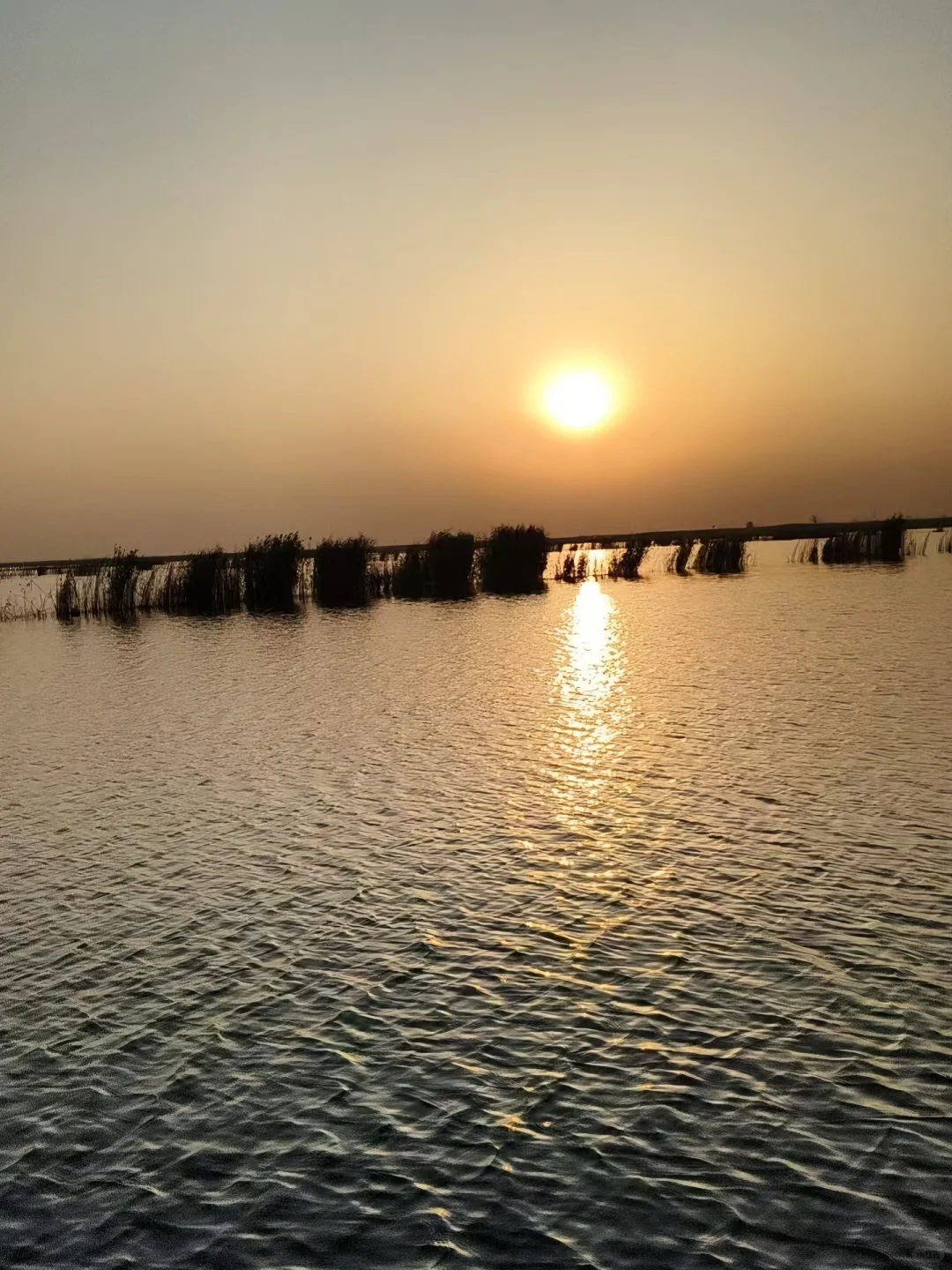 白洋淀野趣全家福攻略，商家实拍