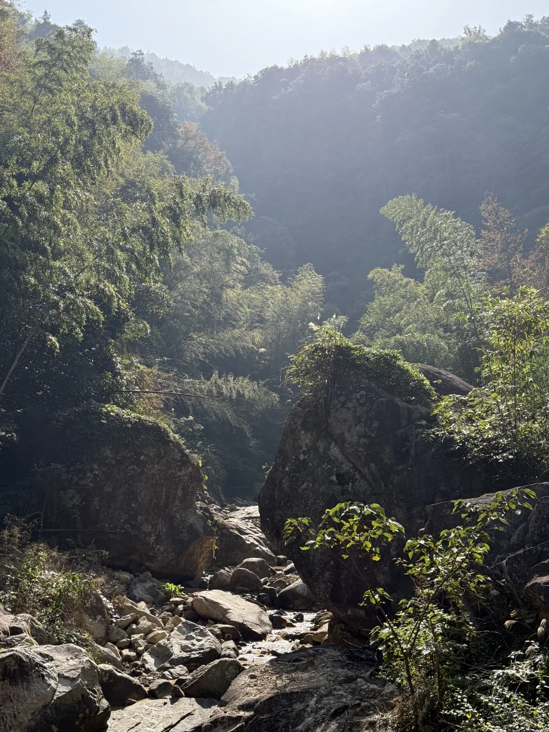 风声，鸟叫声和流水声，倾听大自然的声音