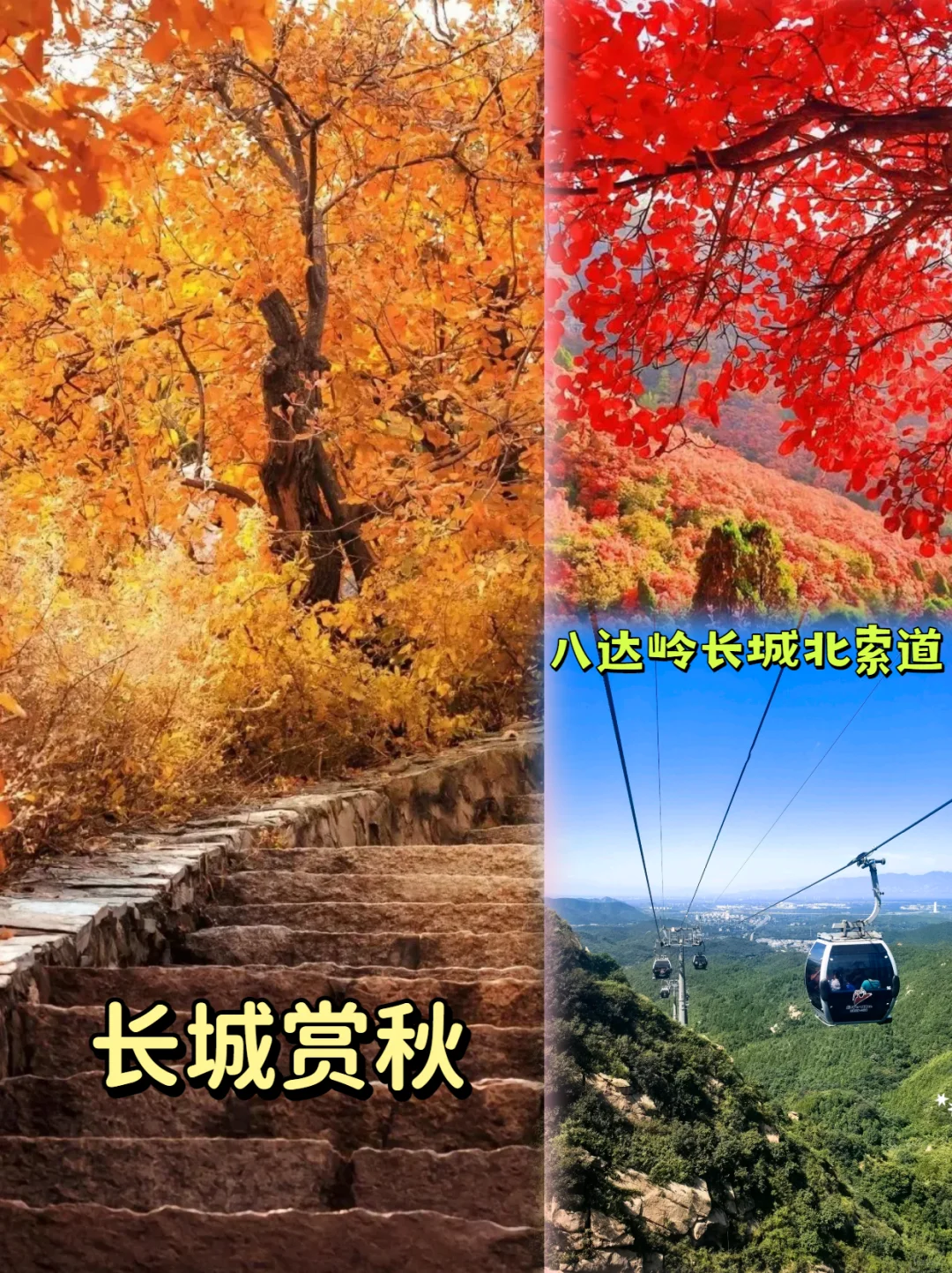 💯北京旅游丨八达岭长城赏秋看红叶指南