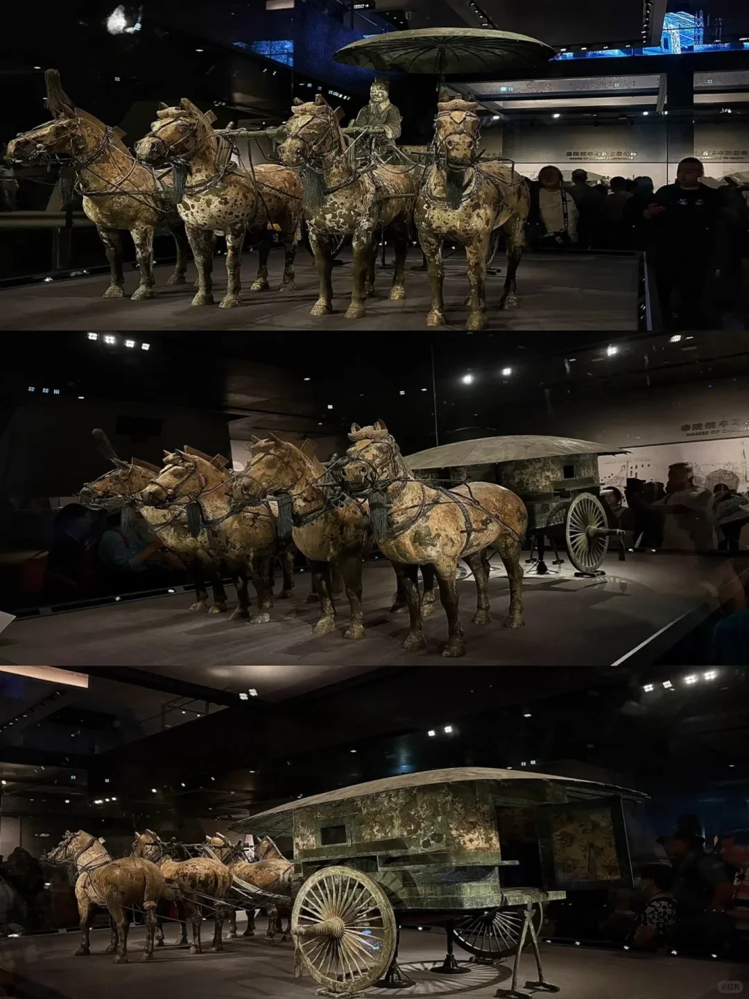 陕西历史博物馆约不上，那你就白来了！