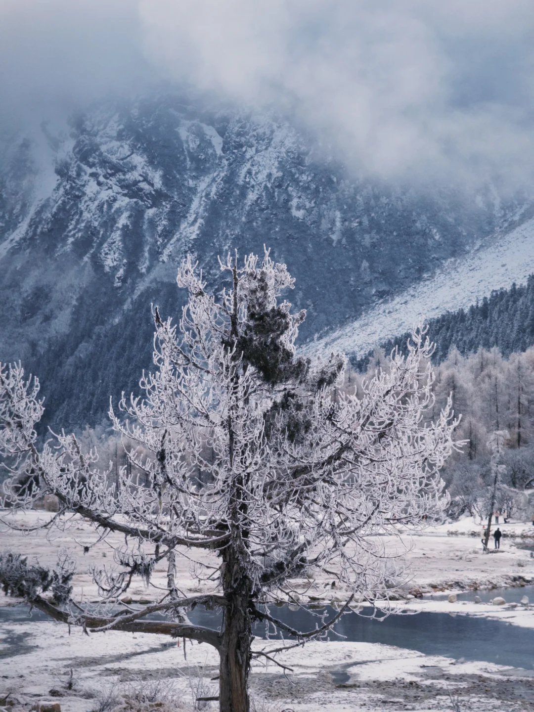 早晨的毕棚沟｜在燕子岩误入魔戒世界