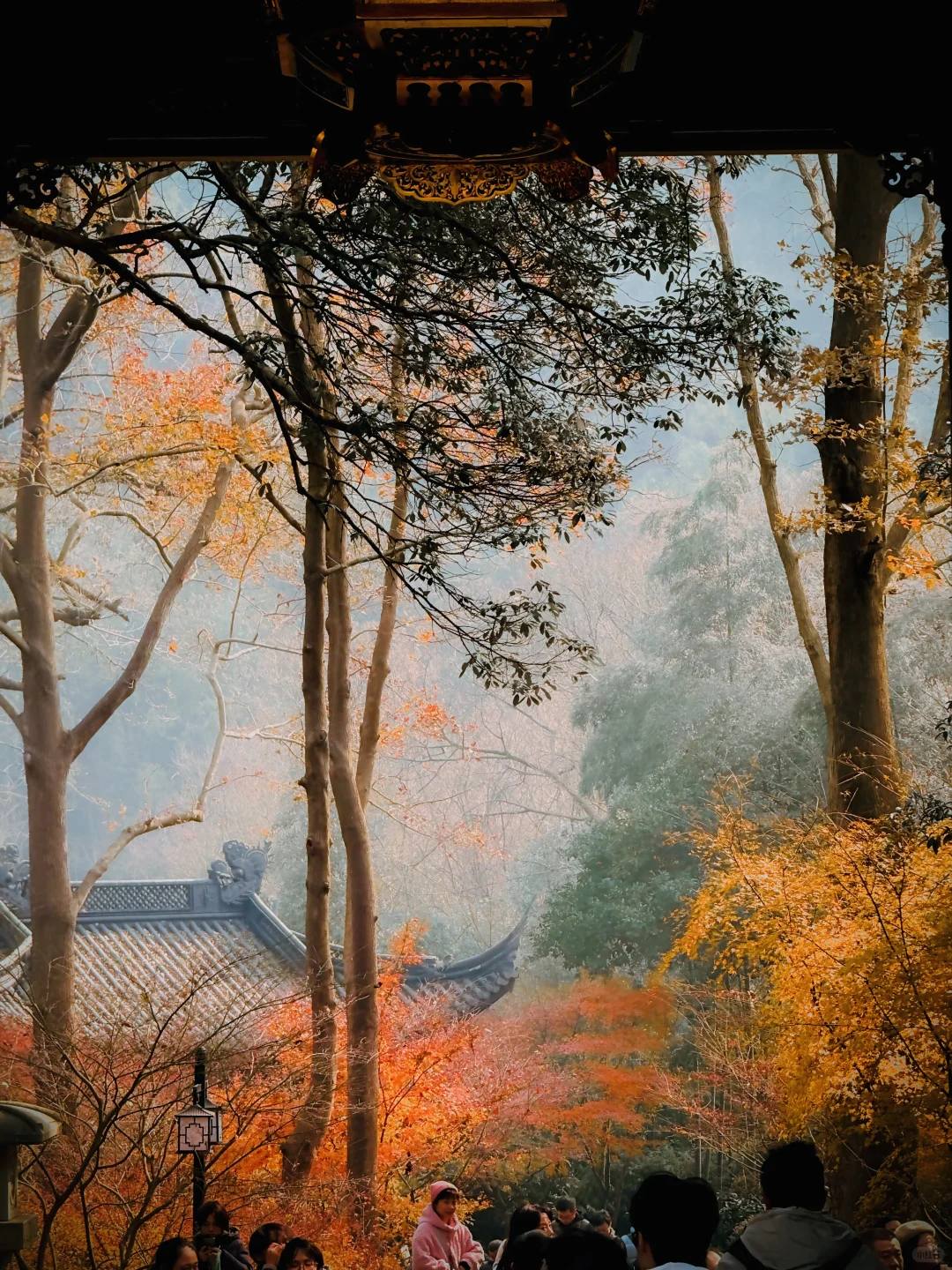 杭州永福寺的红叶应该是日本京都的平替了～