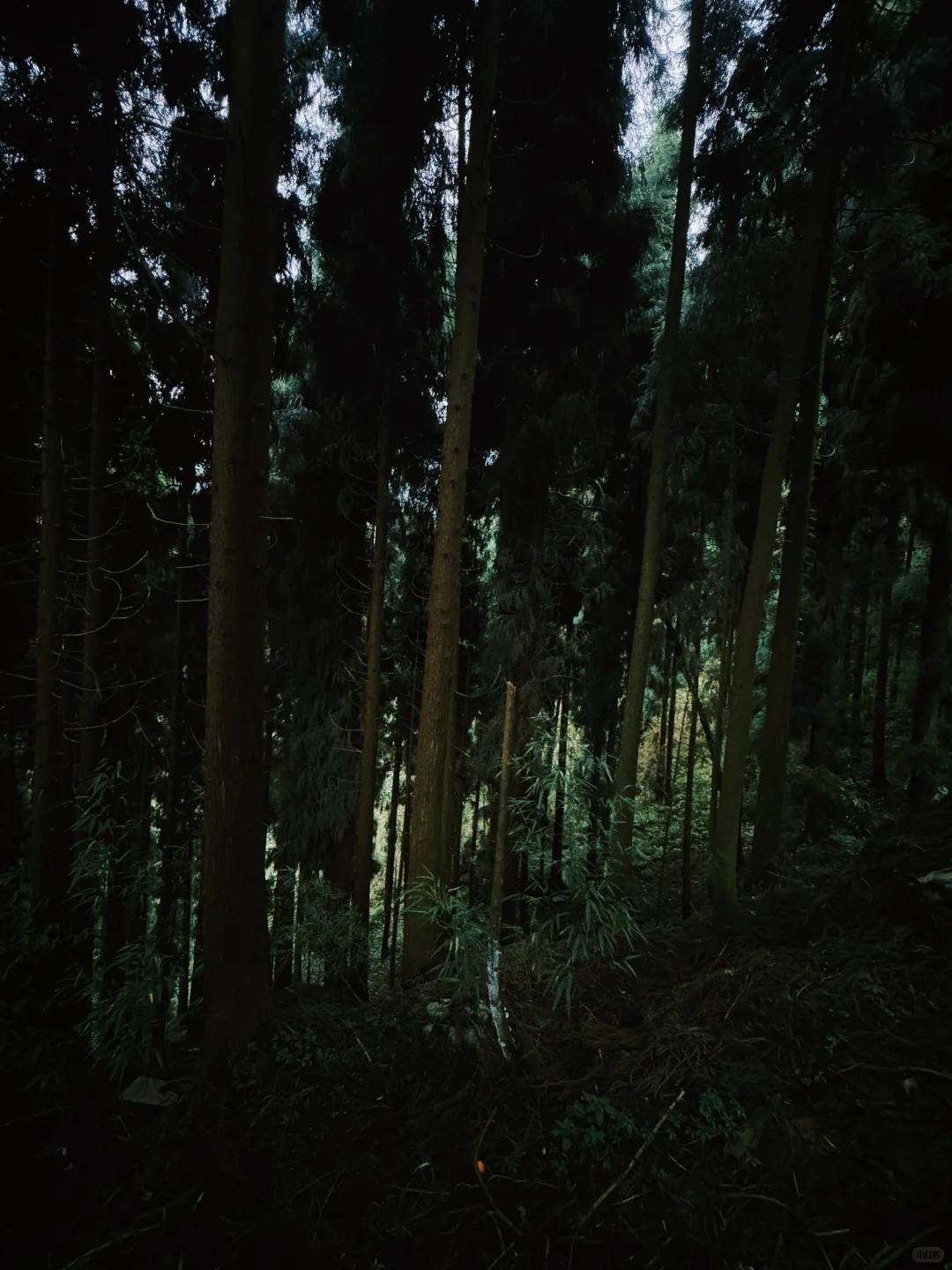 太阳湾景区避雷避雷