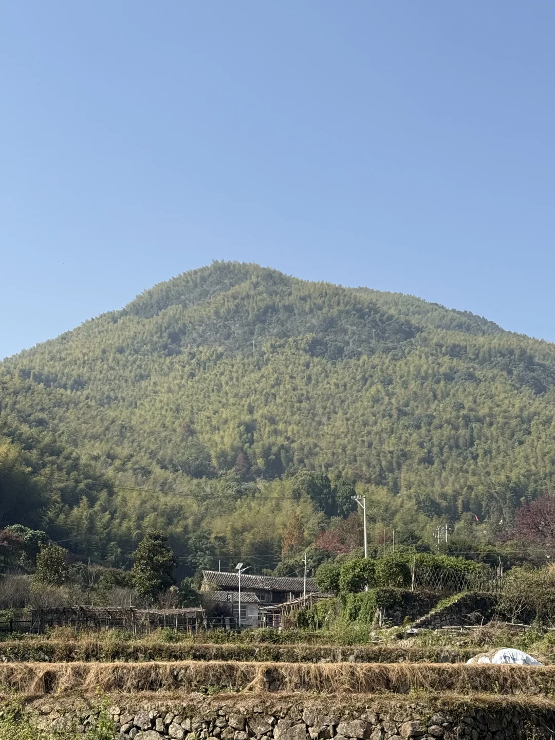 风声，鸟叫声和流水声，倾听大自然的声音