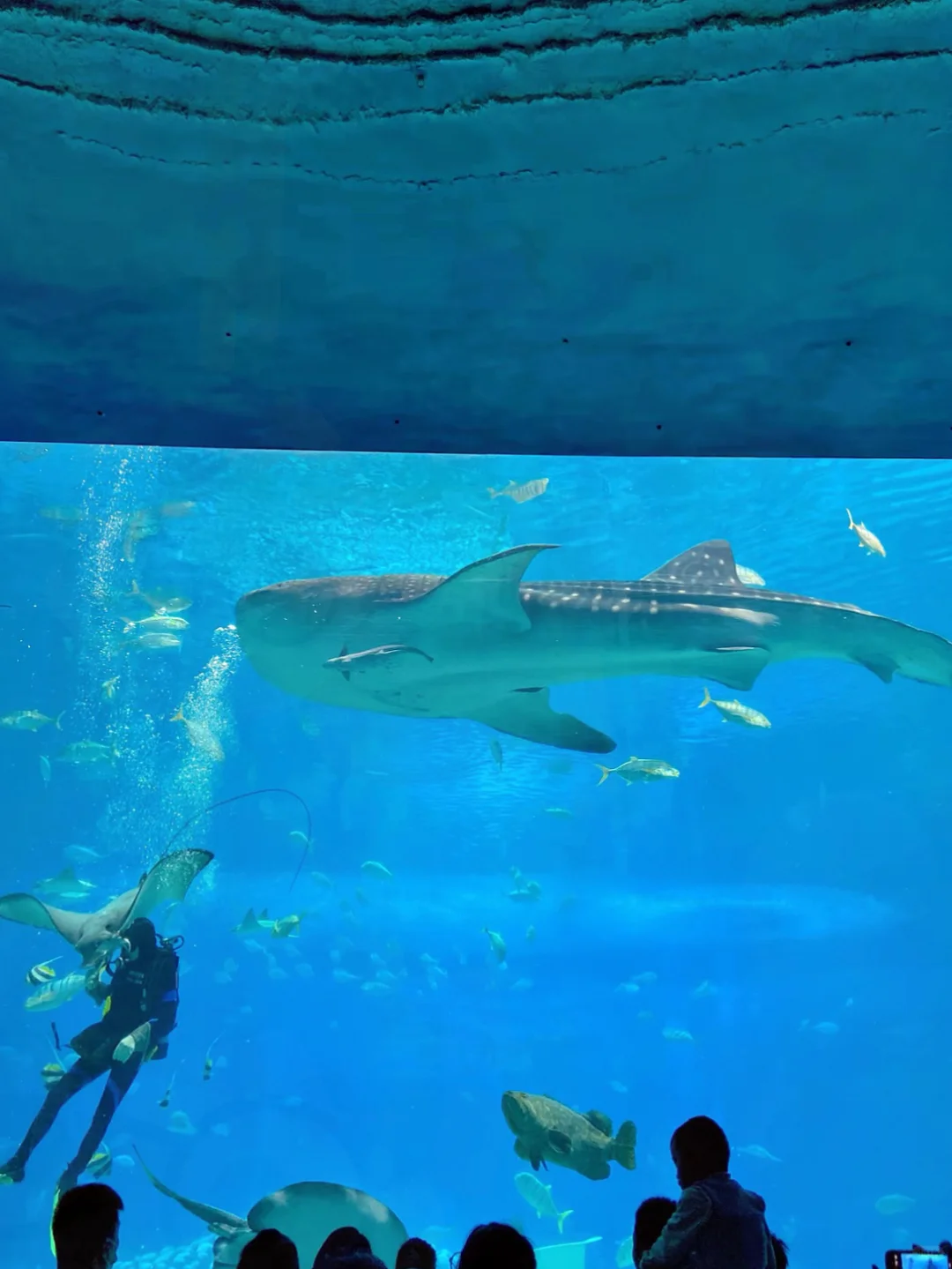 3.6折拿下珠海长隆2天1夜!不囤后悔一年