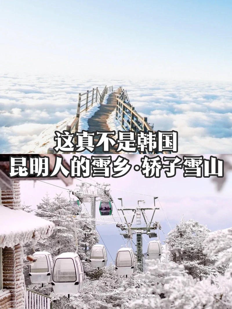 昆明轿子雪山🔥 包车人均200+真香❗❗