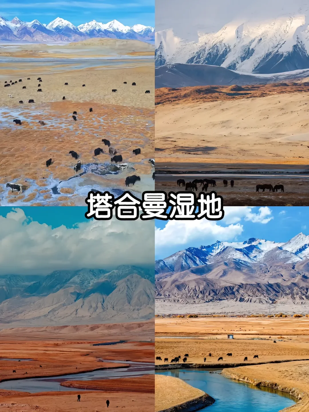 12-2月南疆小环线攻略✅景色不输阿勒泰