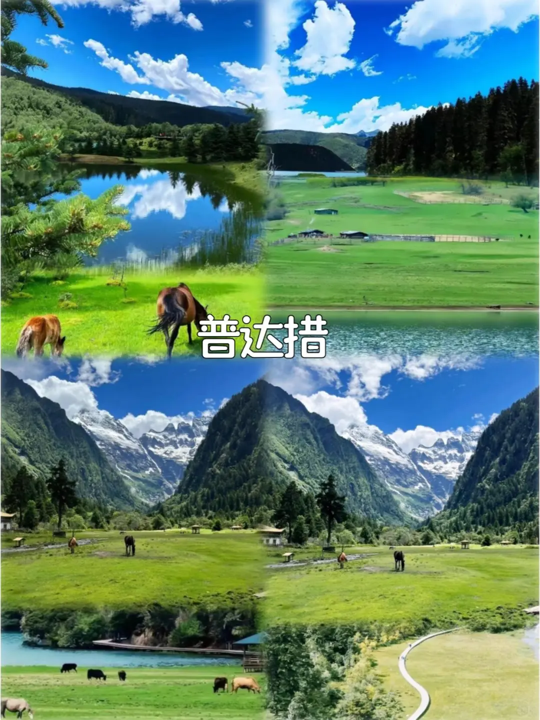 12~2月去云南旅游路线攻略❗人均1k+💰快