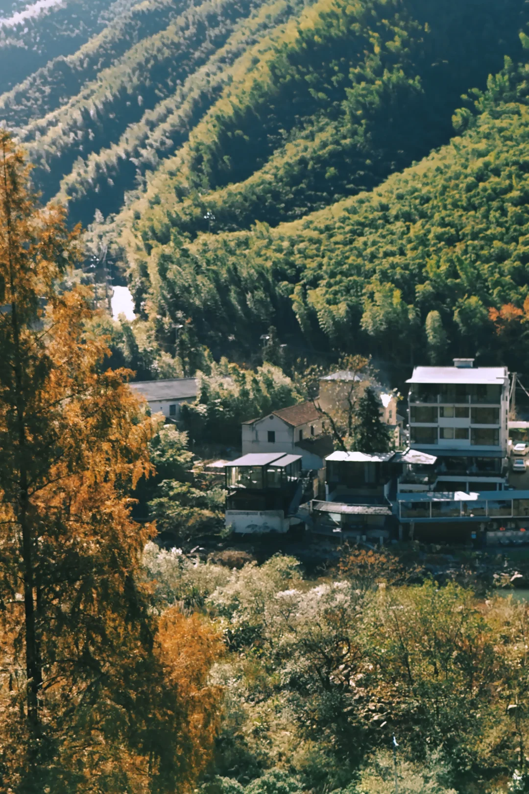 在初秋的安吉泡到人生竹海私汤民宿