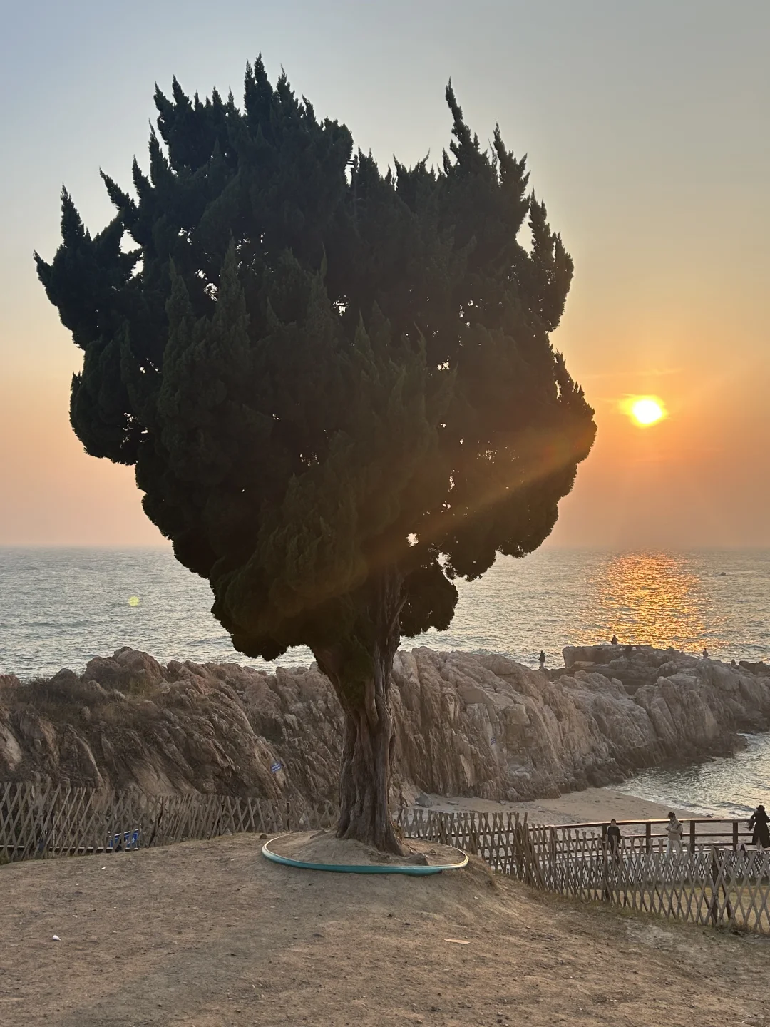 看了50+攻略！总结出的青岛4天3晚旅游计划