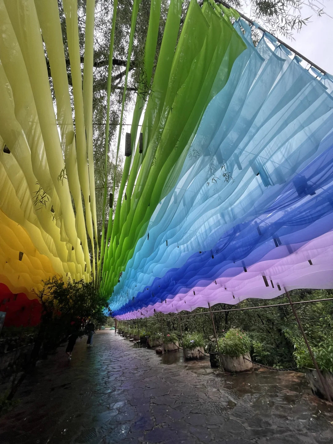 邯郸人民你们嘴真严。。。