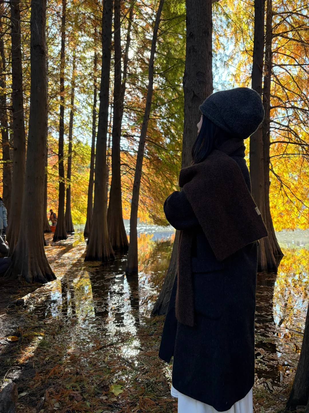 秋天可太好拍啦！🍂