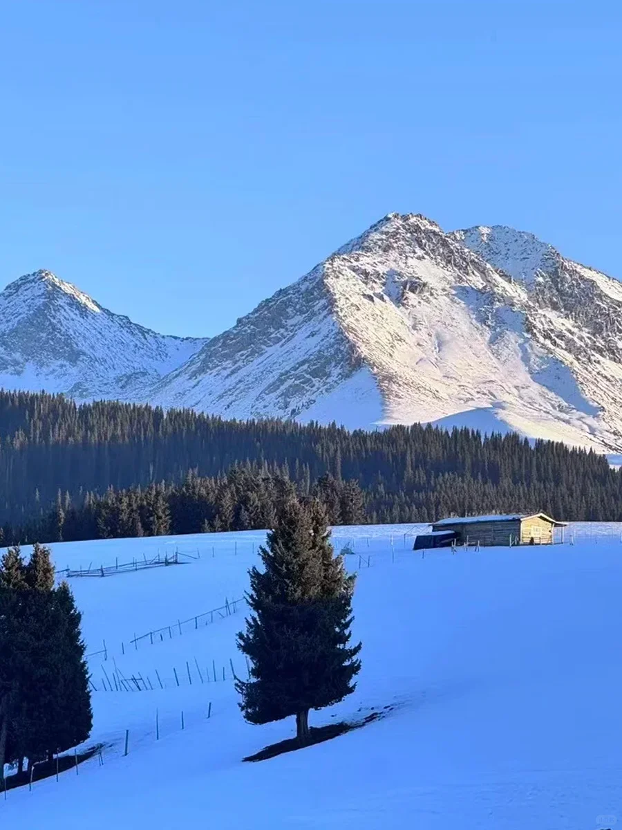 伊犁|冬日那拉提简直是i人天堂