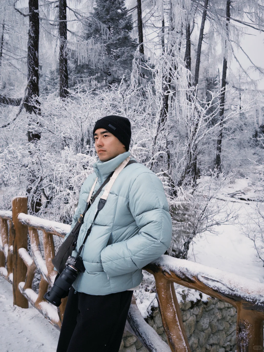 早晨的毕棚沟｜在燕子岩误入魔戒世界