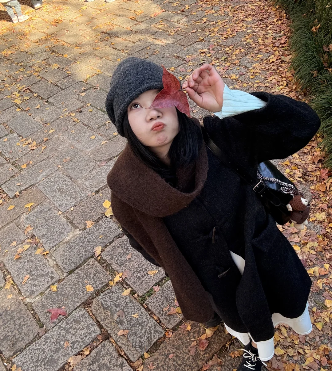 秋天可太好拍啦！🍂