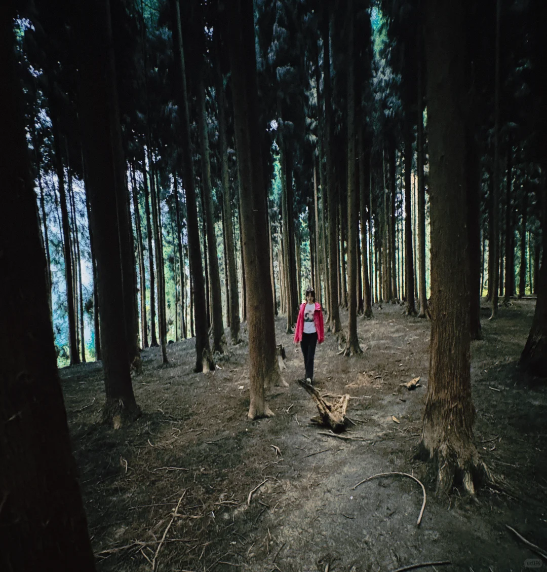 太阳湾景区避雷避雷