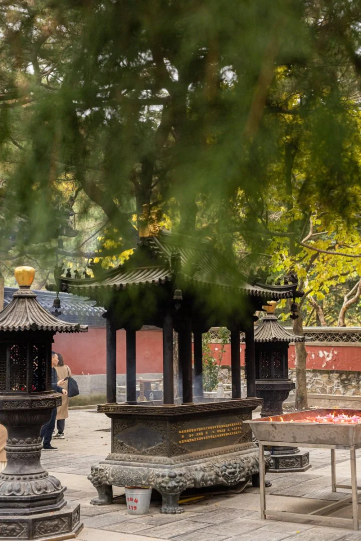 门头沟景区工作机会｜销售主播岗位