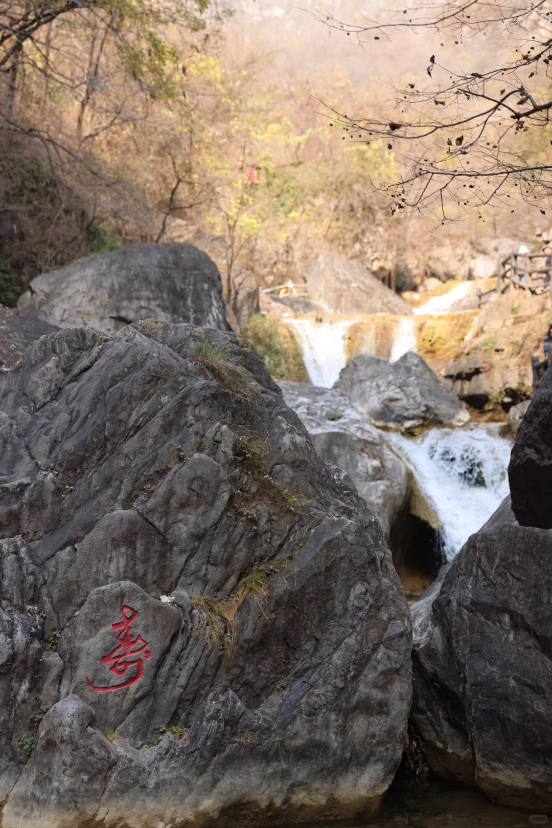 云台山3天2夜保姆级攻略✨人均500玩遍山水秘