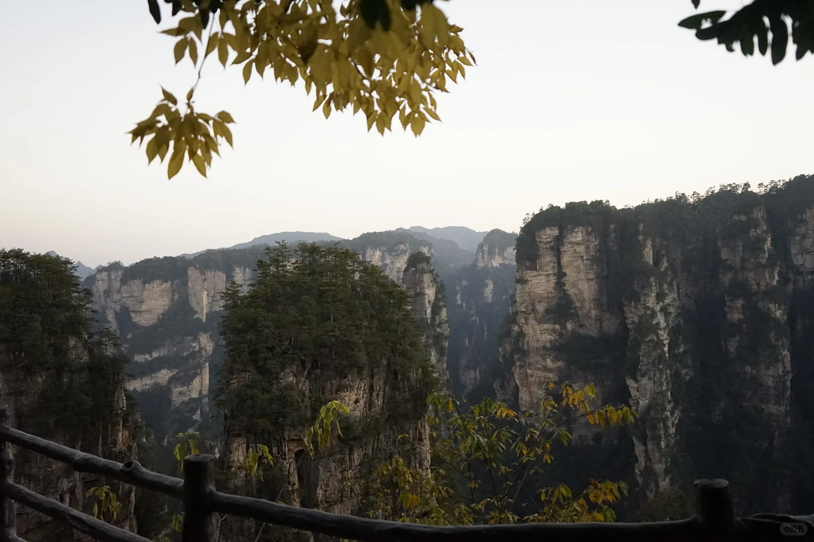 张家界攻略！避坑 + 省时