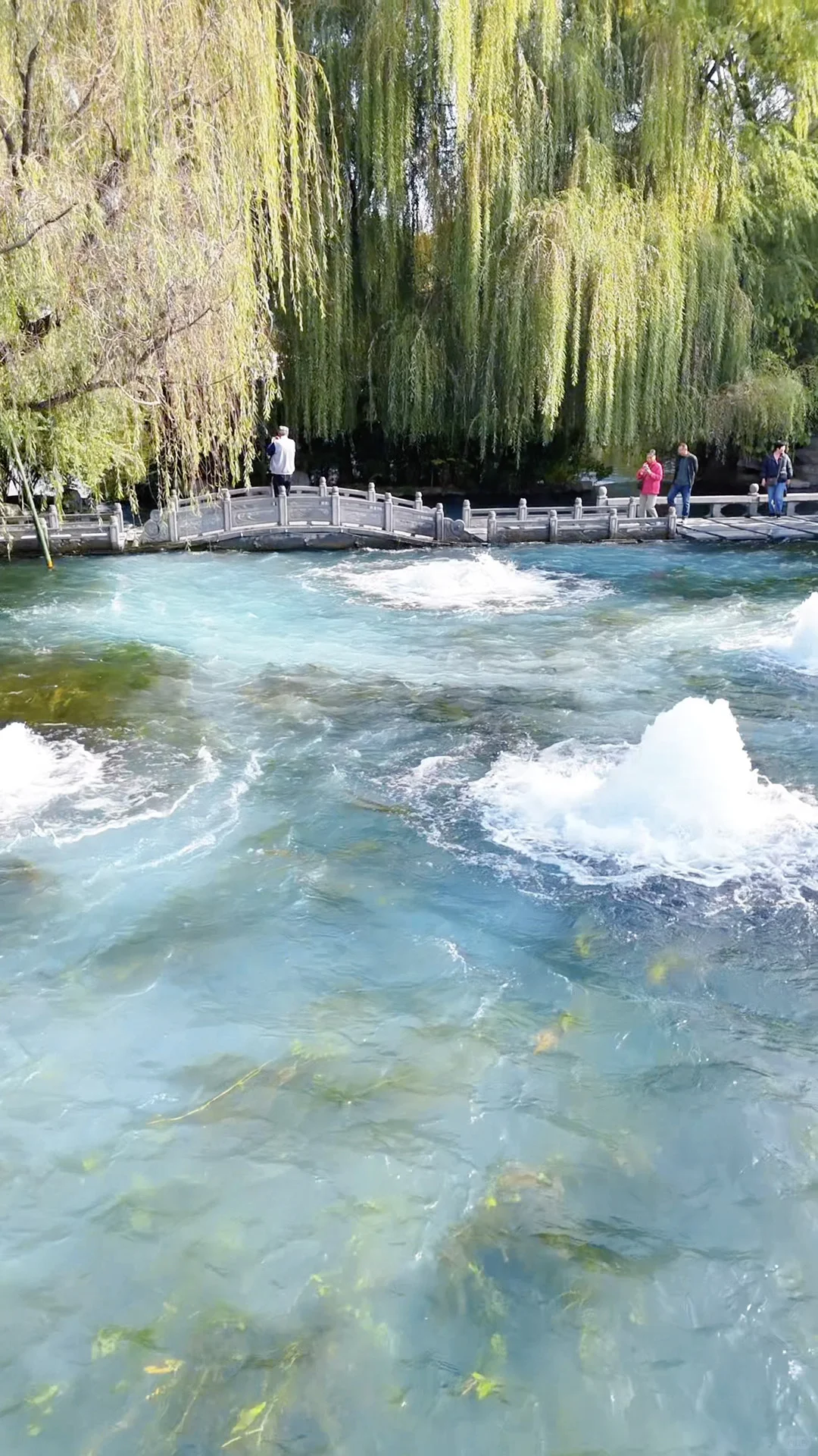 Live图的意义，济南泉水太有生命力了‼️