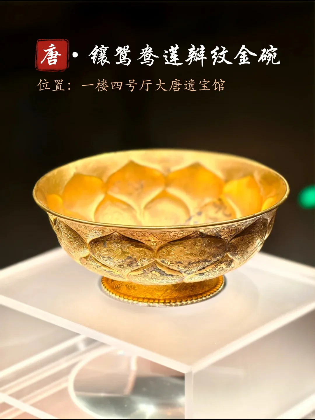 陕西历史博物馆约不上，那你就白来了！